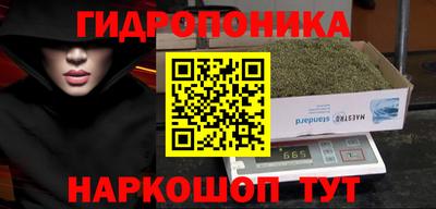 ECSTASY Кунгур